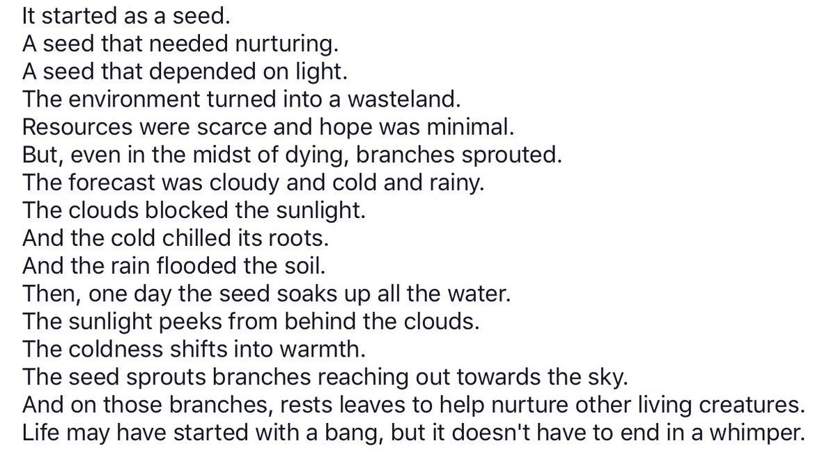 HiddenSubcon's tweet photo. #mine #sadtheme #happytheme #poetry https://t.co/PZWb6z95nk