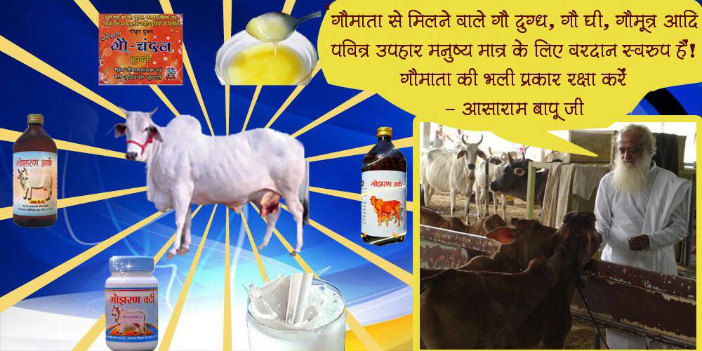 RenukaKamdi's tweet photo. @DVSBJP @narendramodi @nimmasuresh @drashwathcn Good to hear about modi fest, but what about #गौरक्षा_हिन्दू_का_कर्तव्य ?? https://t.co/cSP6rWC0dc