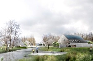 Blauwhoed tweet media