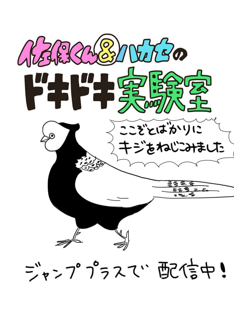 佐保くん＆ハカセのドキドキ実験室、今日もよろしくお願いします。
 