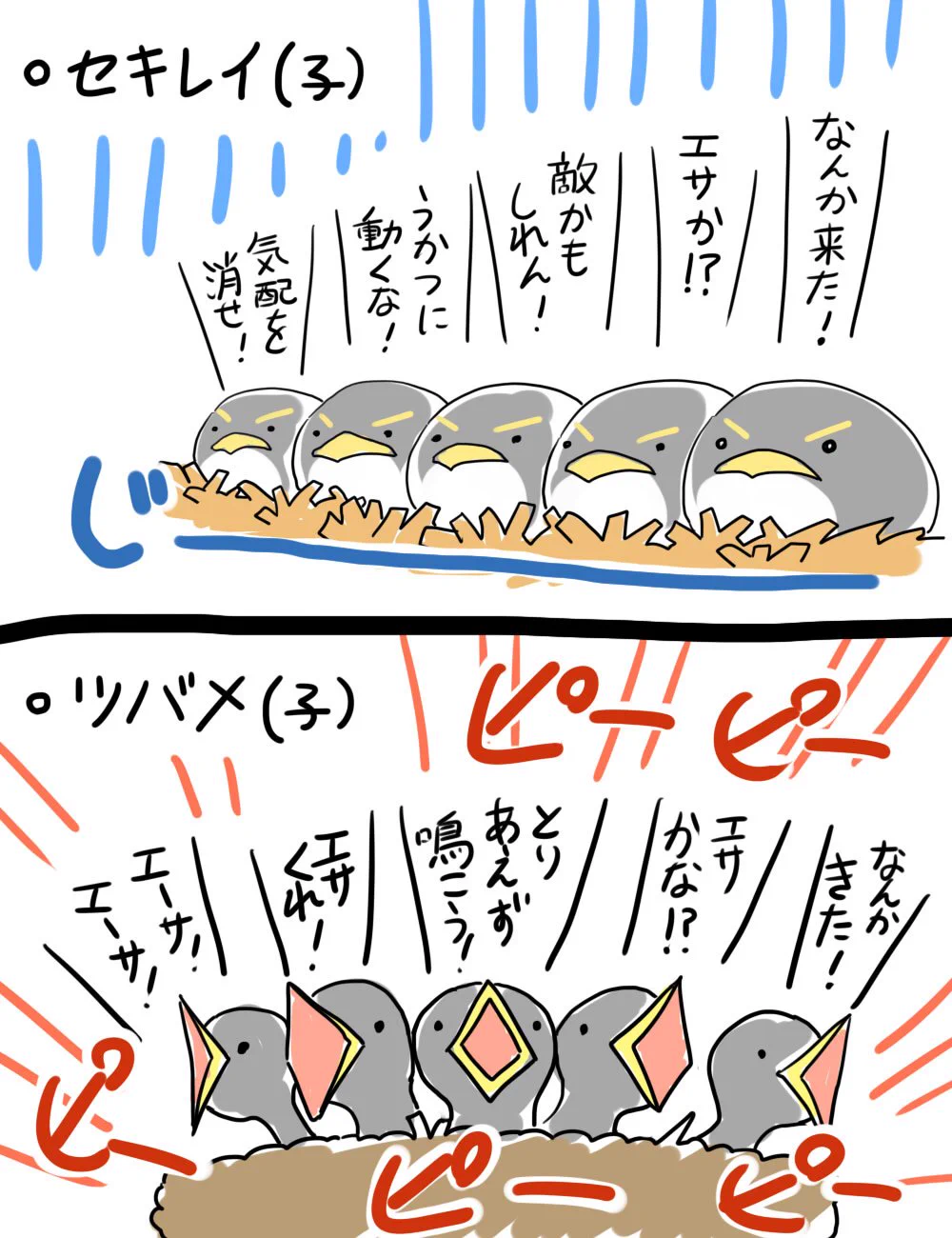 ツバメとセキレイの差ｗ親と子がにるとはまさにこのことｗｗｗ