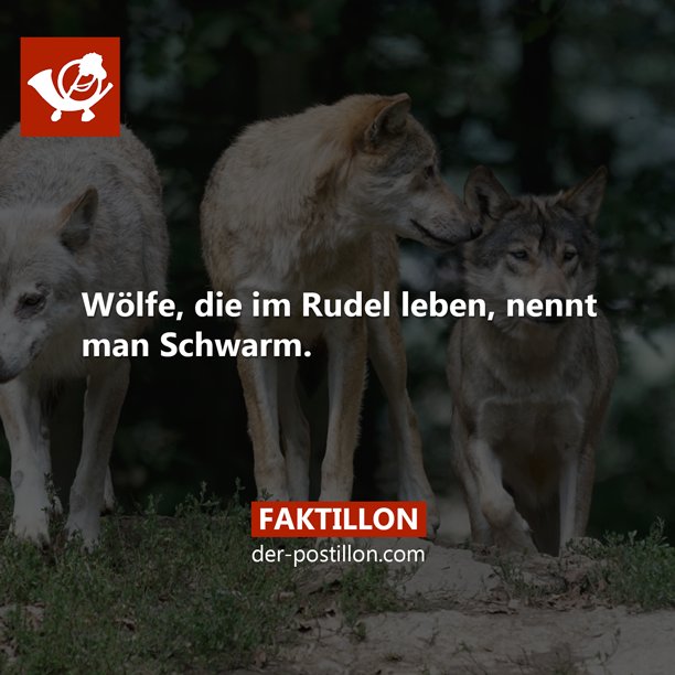 Faktillon's tweet photo. Die besten Fakten als Buch > https://t.co/4kKGGQBl4X
Ehrliche Nachrichten auf > https://t.co/ZUXl9n25DK https://t.co/SBI9RmngR8