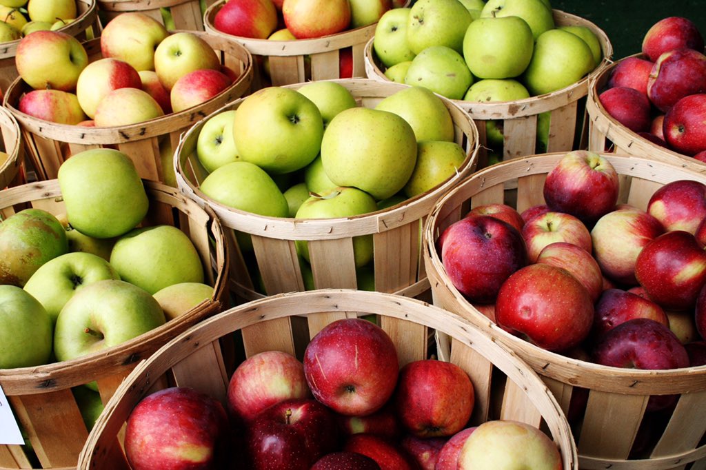 CovfefeSimple's tweet photo. @Great_Covfefe Ooooo!! *gets his apples ready* https://t.co/KYn3uw2Bf8