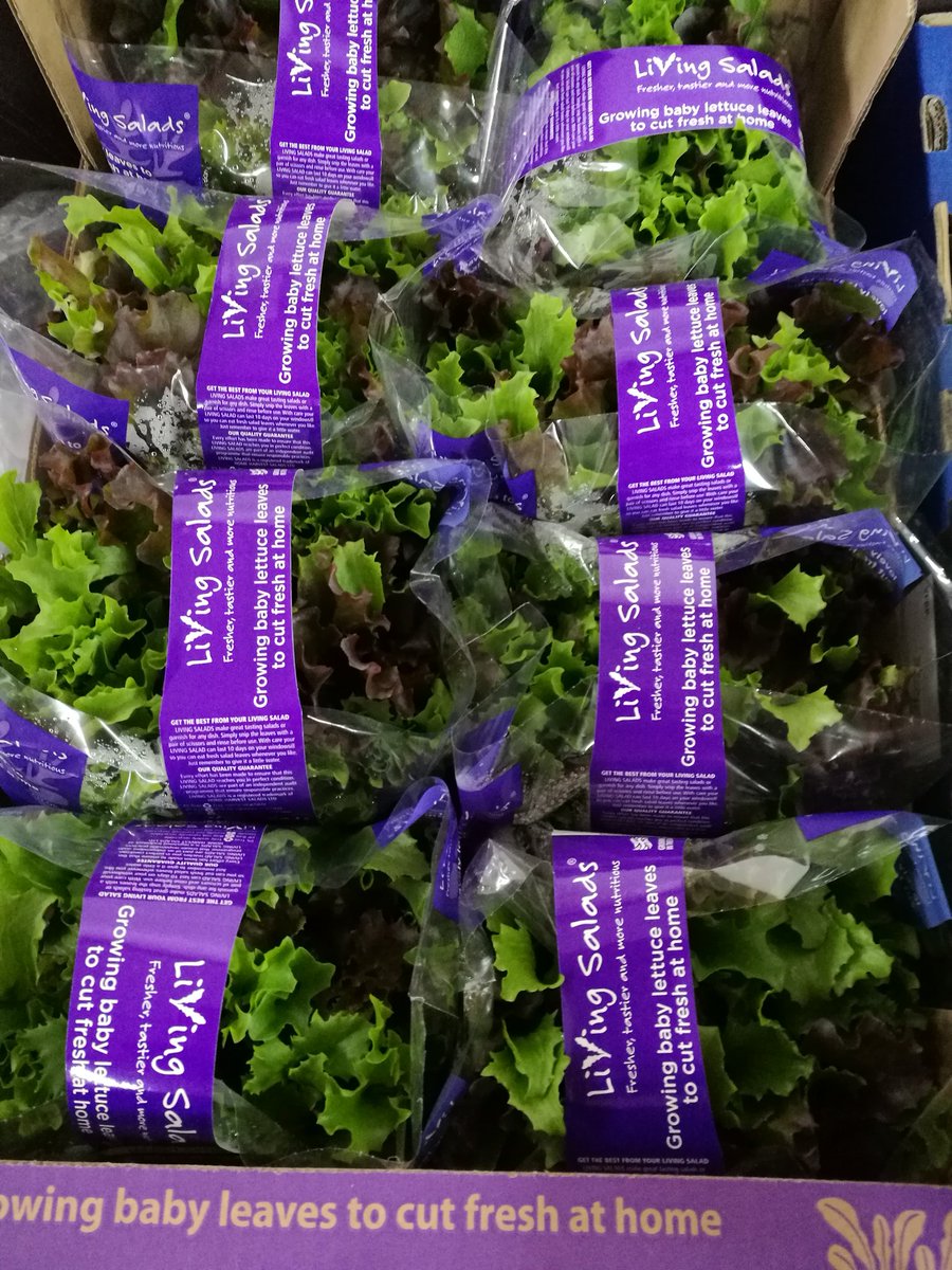 5adayFresh's tweet photo. #plumtomatoes #heritagetomatoes #livingsalad #growingbabylettuceleaves #freshtobuy #freshathome #greengrocer #5adaystalybridge #Cheshire https://t.co/CtwVCqsgwh