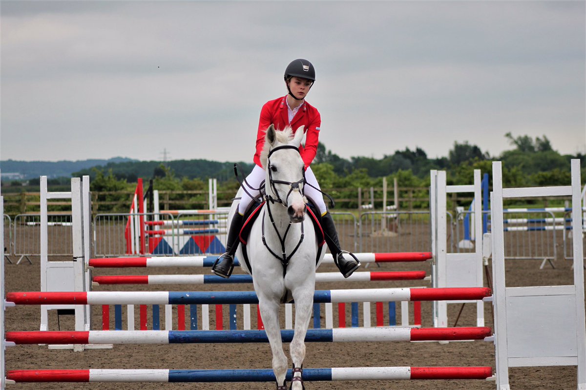 BWoodhead__'s tweet photo. Mr C last Sunday jumped dc in the 95 scope qualifier then had 12 faults in the 1m so went in again HC and he jumped a fantastic dc! https://t.co/IWdjyIMG7E