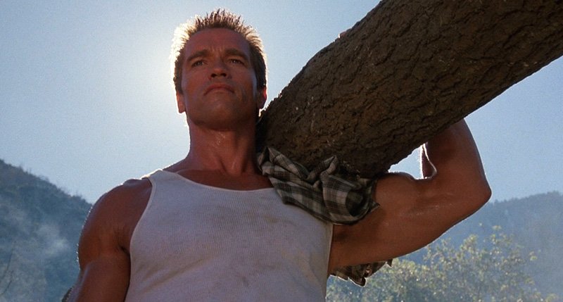 PremiereFR's tweet photo. Le cinglant message d’Arnold Schwarzenegger à Donald Trump sur le climat - https://t.co/utbN7CLgcg https://t.co/GME0RshQtA