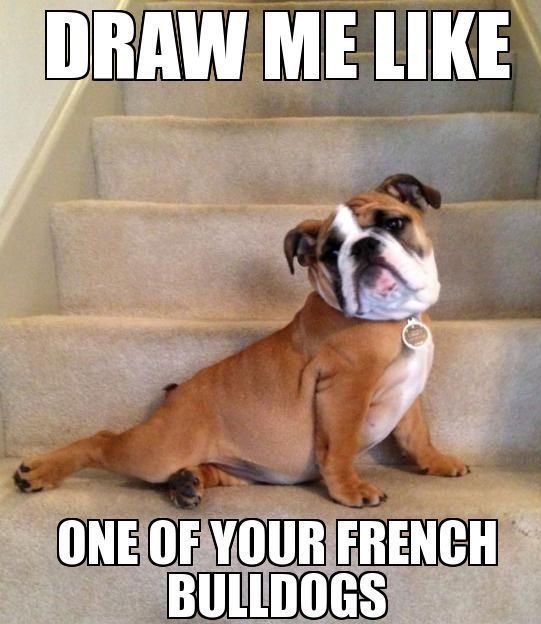 yupchronicles's tweet image. Same same but different.. #NationalDonutDay #Dorichronicles