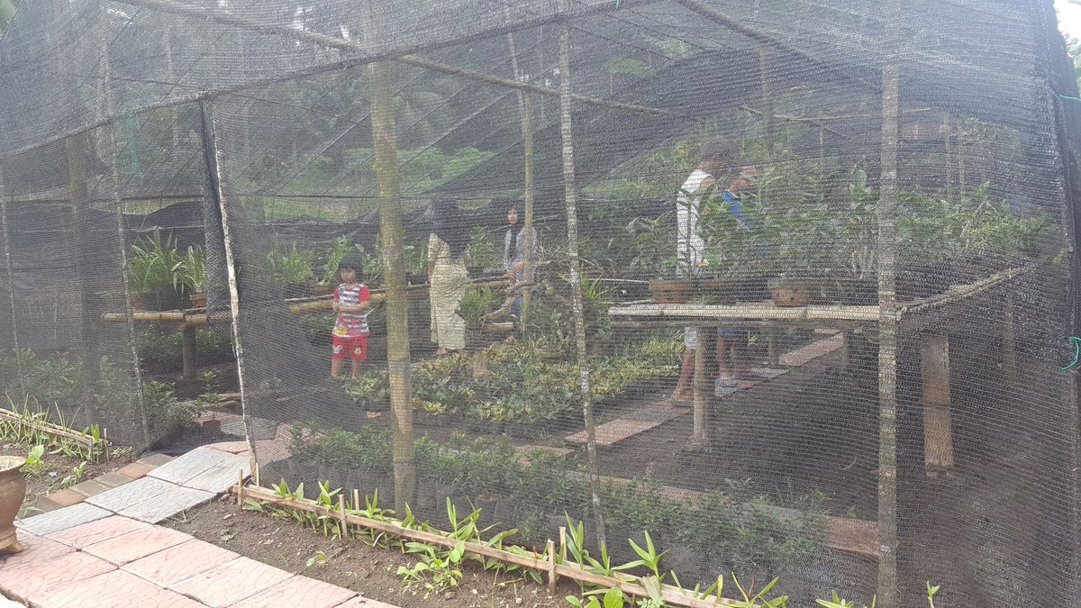 bayuhadiyanto2's tweet photo. selamat berbuka, sambang kebun @bwangiberkebun @IDberkebun @yulianpurnom @MohSafaat @Inyul_Unyil @Ida_Amal https://t.co/yw2qWoDIpp