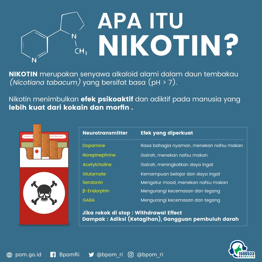NIKOTIN adl senyawa alkaloid alami dlm daun tembakau.Menimbulkan efek psikoaktif &amp; adiktif pd mnusia yang lbh kuat dr kokain dan morfin
