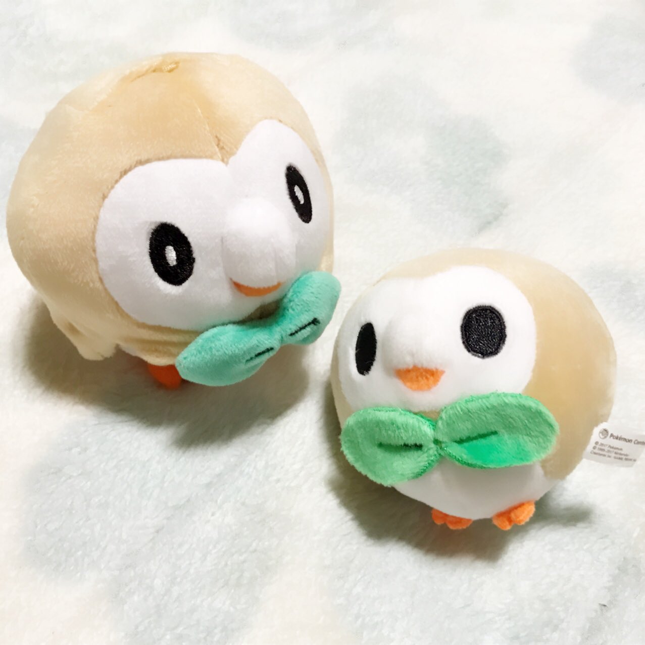 טוויטר かれん בטוויטר モクローは モクロードールが きになるみたい Pokemon Rowlet ポケモン モクロー ドール ぬいぐるみ もちもち T Co Xsjmaujeoc טוויטר かれん בטוויטר モクローは モクロードールが きになるみたい Pokemon Rowlet ポケモン モクロー ドール ぬいぐるみ もちもち T Co Xsjmaujeoc