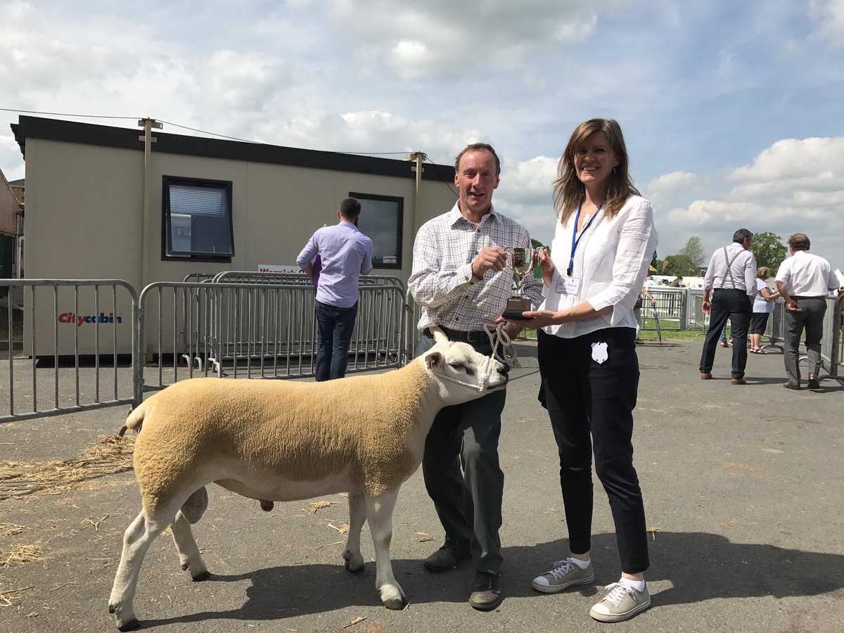 Congratulations to Stuart Talbot on winning the Blue Merle Cup Champion Texel at <a href="/StaffsShow/">Staffordshire Show</a>