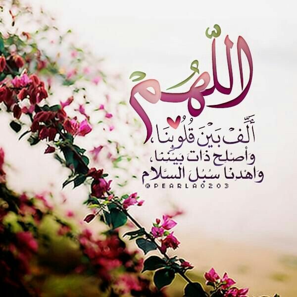 hafedatesha's tweet photo. ❤🌸 https://t.co/SwLrhGvw1t