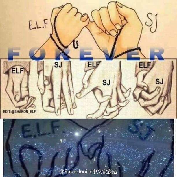 Little_Sparkyu's tweet photo. #HappybirthdayELF #Happy11thAnniversaryELF #HappyELFDay #11thAnniversaryELF #BAMA2017DiamondEdition_SuperJunior https://t.co/4wdu9IwQ1K