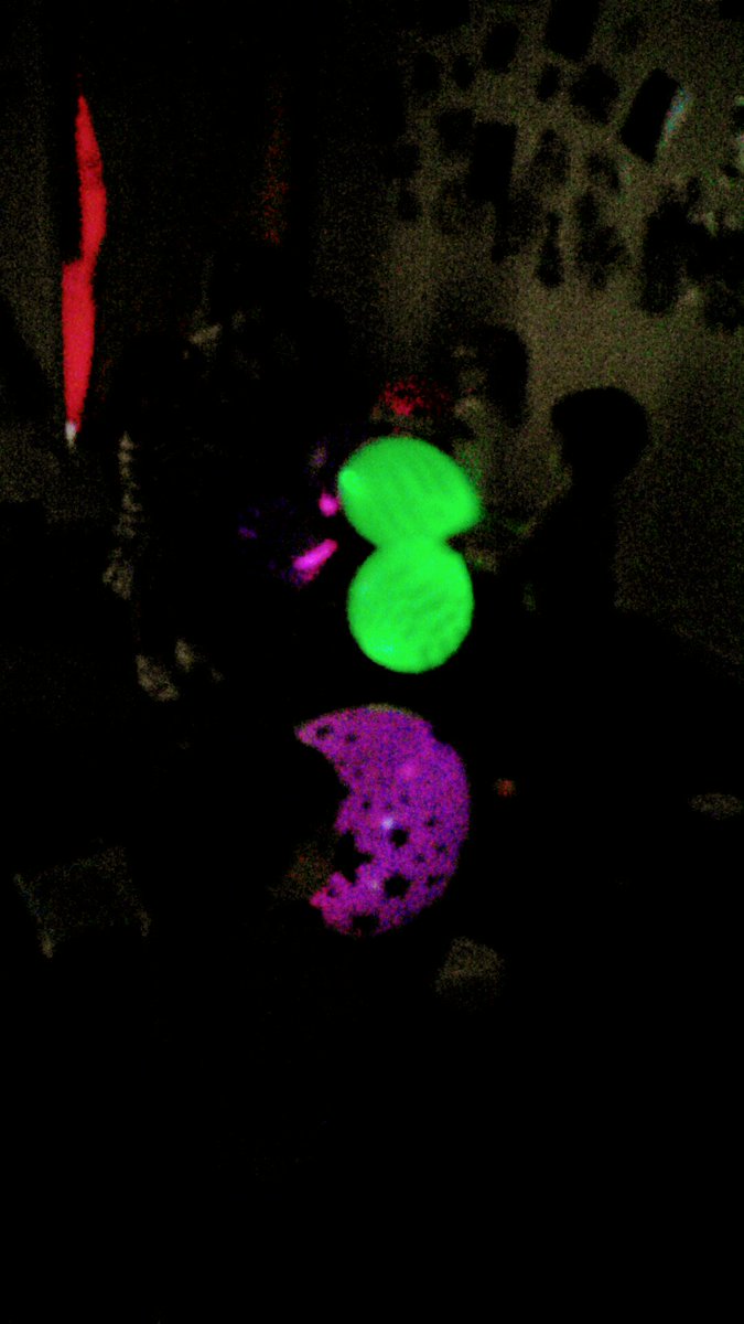 horfieldsnap's tweet photo. Older and younger toddlers had fun playing with light up balloons today, exploring thier senses 🖐👁 🎈 #snapworld https://t.co/adXg0Faqwp