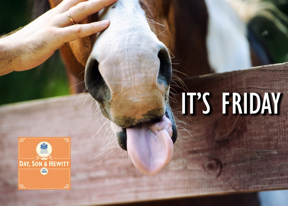 DaySonHewitt's tweet photo. HAPPY FRIDAY! 

What is everyone up to this weekend? https://t.co/HzpDl26PAi