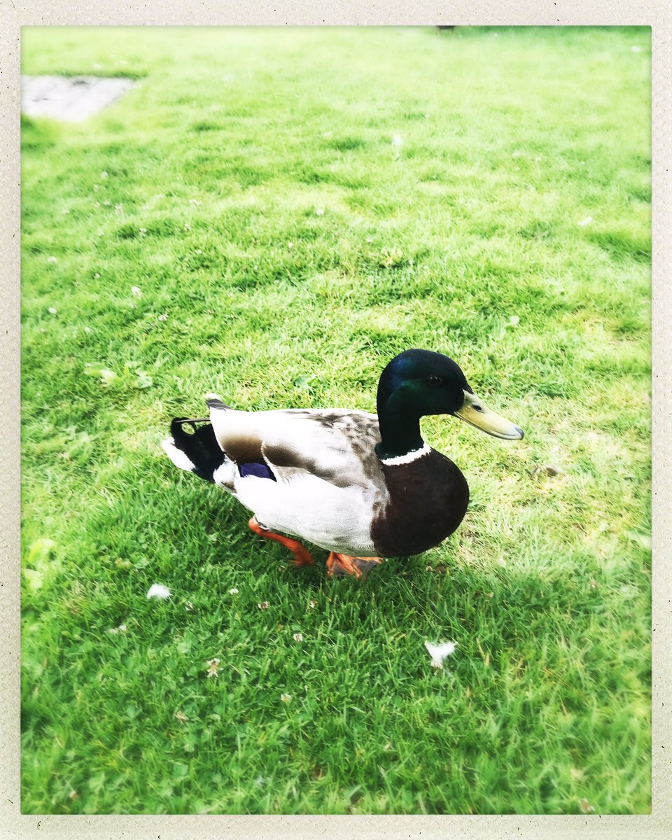 Flutterby Events tweet media