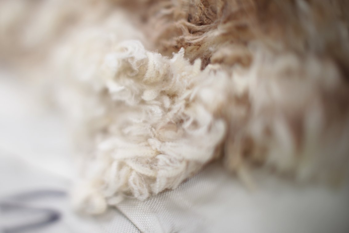 FreeEyreLtd's tweet photo. THE #MichellDirect WEEKLY WOOL MARKET REPORT is available for viewing: https://t.co/SThfRw2nEC https://t.co/iJVjJcOLpj