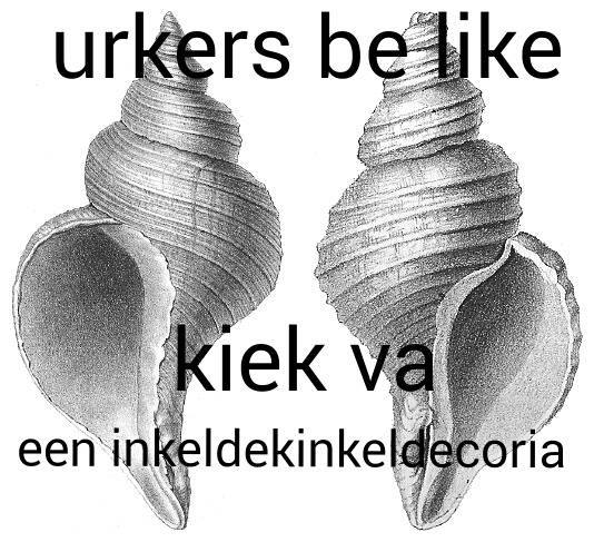 LoosmanM's tweet photo. @MandyJvanDijk  Mijn mooiste Urker woord. https://t.co/Qt8cAVa6cH