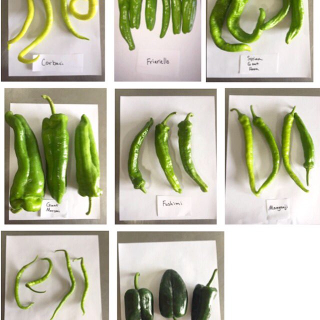 peppers &amp; dim sum tonight ! Offmenu : BBQ fresh eel, street corn, guo kui beef buns, noodles &amp; more