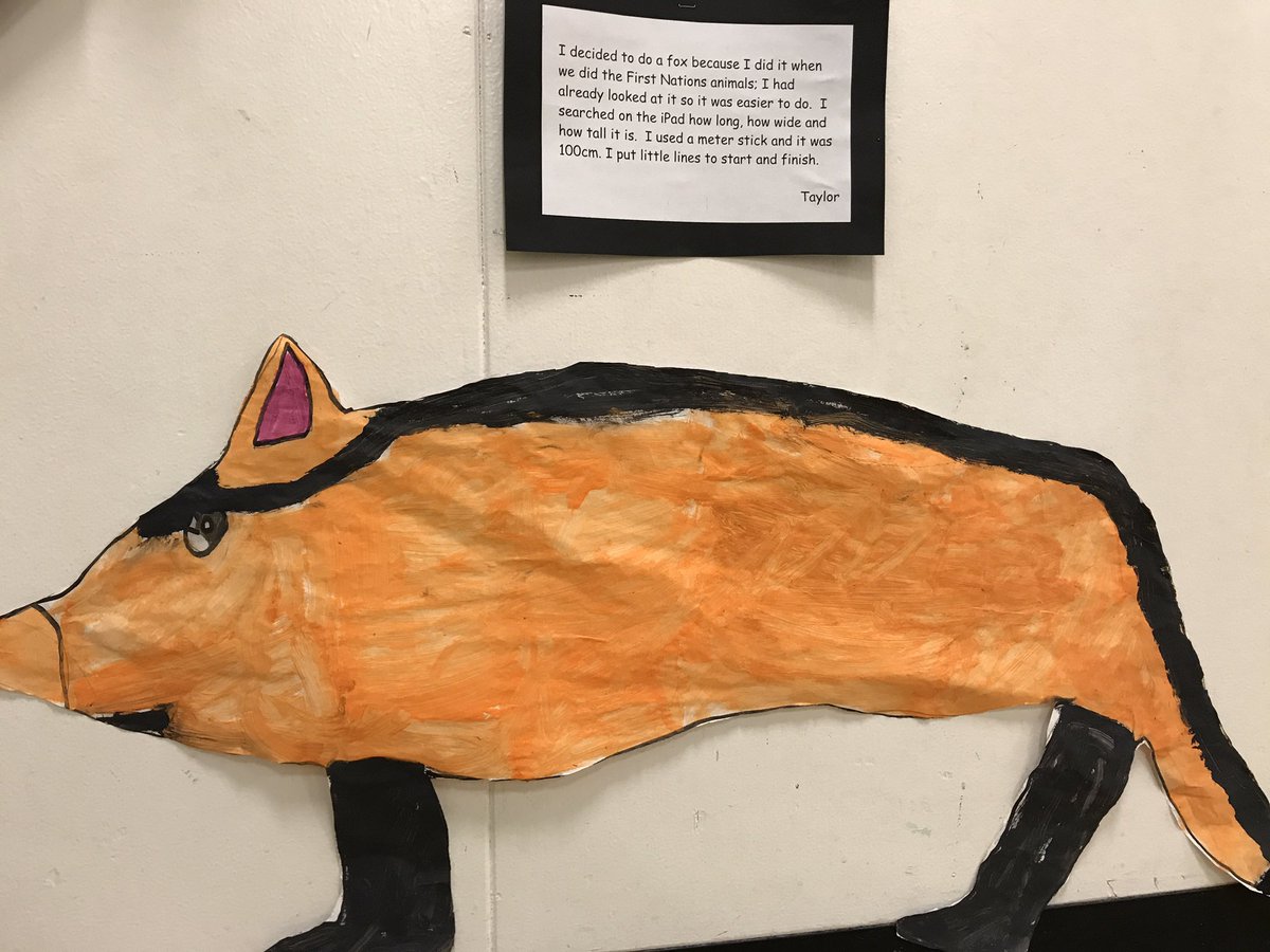 MsE_Perez's tweet photo. Life-size art! Students research &amp; measure Canadian animals @lookwondersee @CandaceRoss22 #BCAMTreggio  @jnovakowski38 @WestVanSchools https://t.co/g2TKqbSLt8