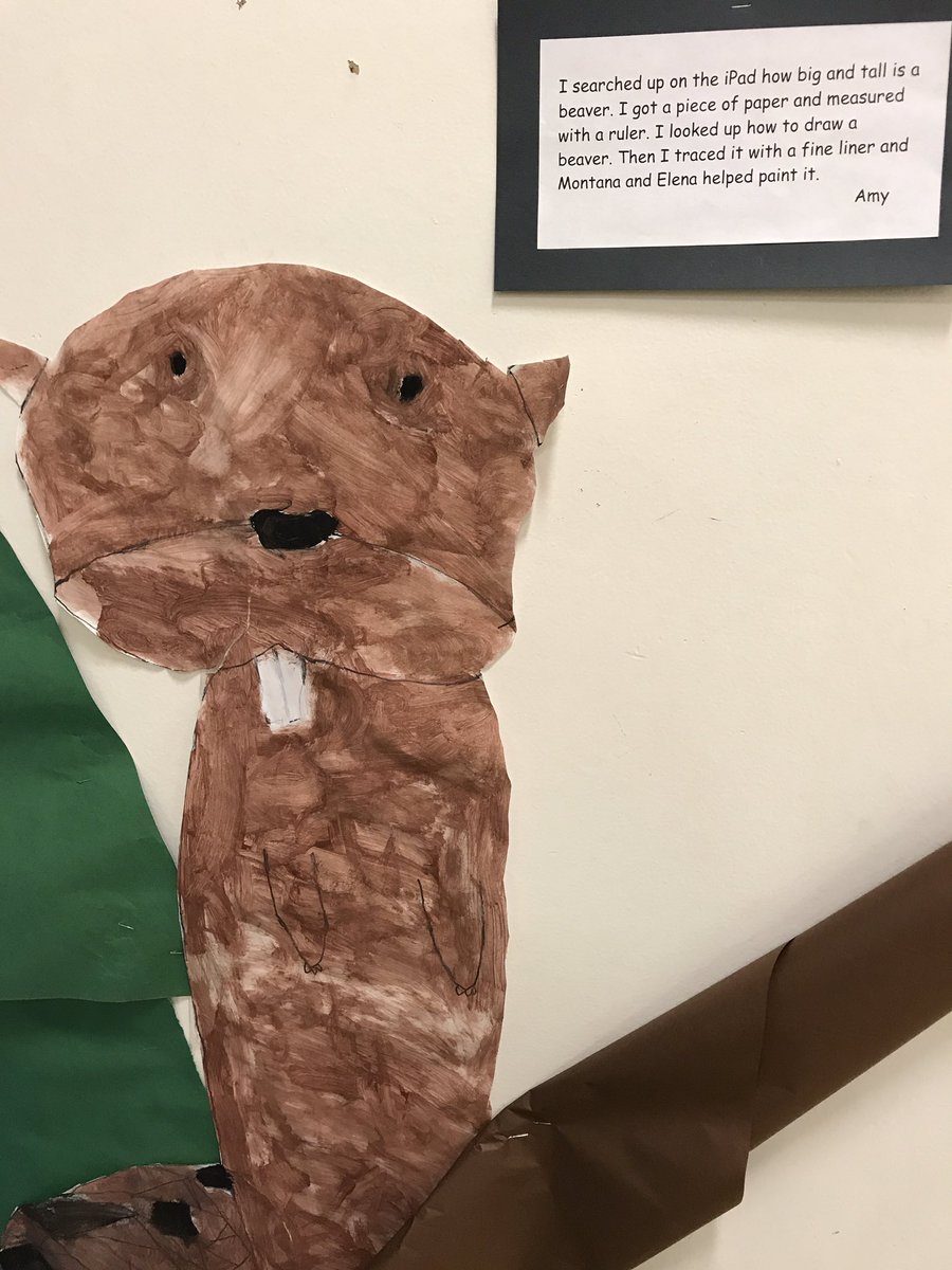 MsE_Perez's tweet photo. Life-size art! Students research &amp; measure Canadian animals @lookwondersee @CandaceRoss22 #BCAMTreggio  @jnovakowski38 @WestVanSchools https://t.co/g2TKqbSLt8