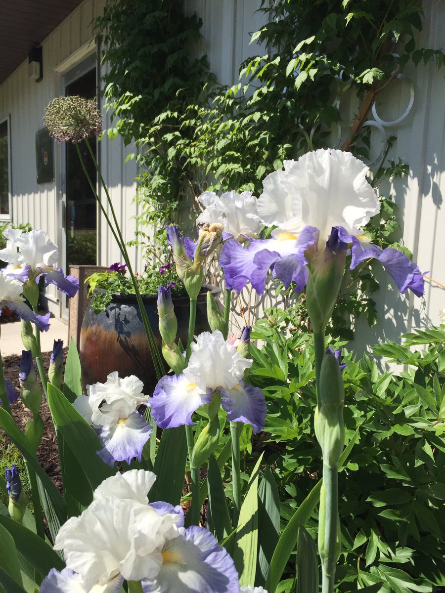 Wyoming Machine tweet media