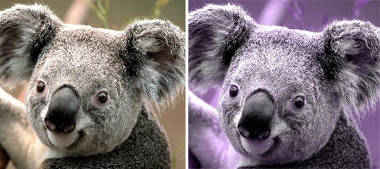 esate_ru's tweet image. Обработка изображений 
1.3 Графические фильтры: изменение тона и гаммы изображения 
goo.gl/NwYvLC 
#esate #esate_СSharp