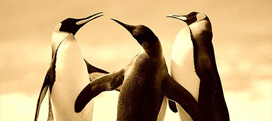 esate_ru's tweet image. Обработка изображений
1.1 Графические фильтры: «негатив» и «сепия»
goo.gl/LxQpC2
#esate #esate_обработка_изображений #esate_СSharp