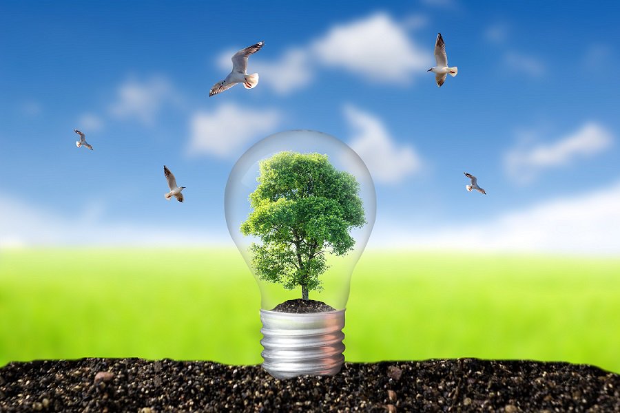 lighting_IA tweet picture