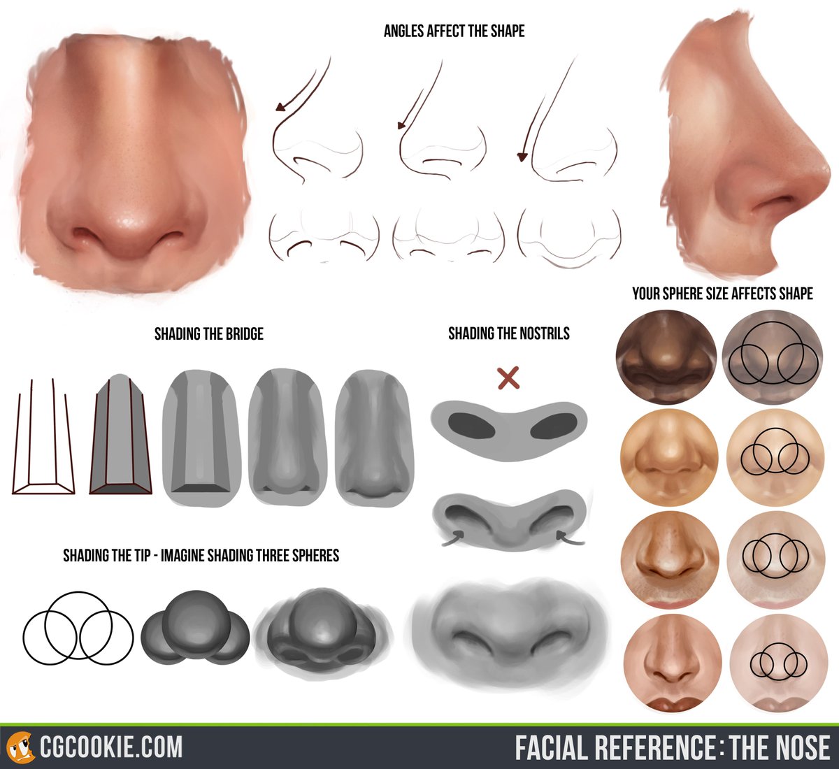 Nose Shape Chart