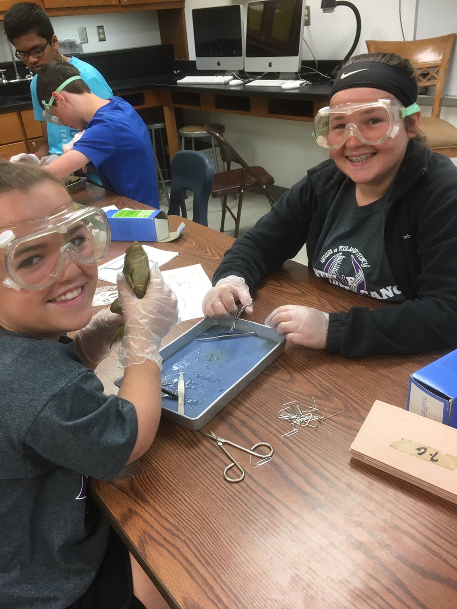 EDLisaHartman's tweet photo. Dissecting frogs with Mrs. Merfeld and Mrs. Kooistra. #NevadaCubPride https://t.co/3NXvhCDrkY