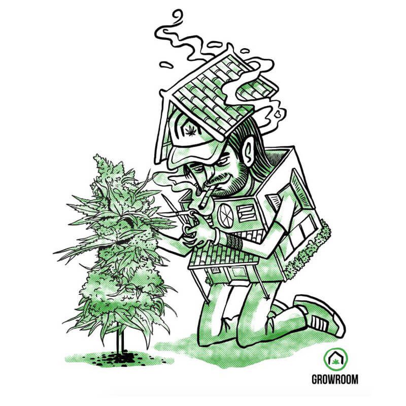 growroom's tweet photo. https://t.co/yy1sZv15X6 Ajude o ativismo canábico nacional dê um força ao #Growroom a fazer ainda mais pela planta! https://t.co/yy1sZv15X6 https://t.co/11Zglx94Xn