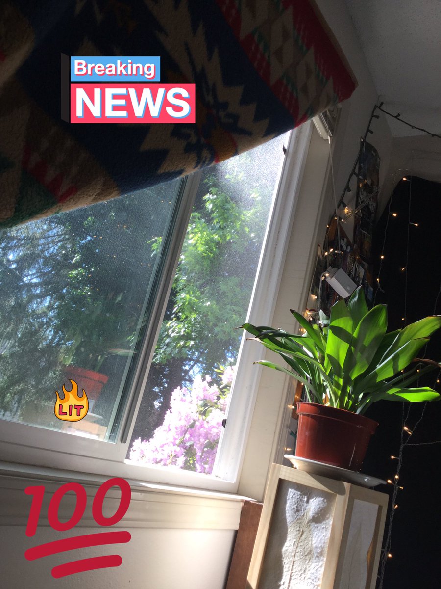 TotalObscurity's tweet photo. Mornin sunshine sayin TGIF https://t.co/rsjxVX53Gg