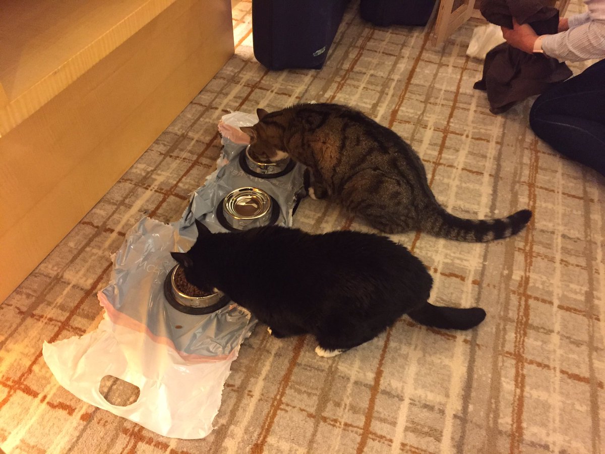 Mike Tansey tweet media