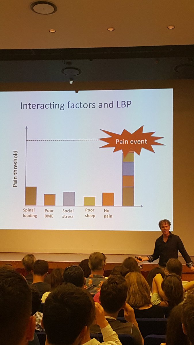 TheHandPhysio's tweet photo. All these factors add up and influence pain #CFTlondon2017 #PeterOSullivan https://t.co/B5smGBv1Qd