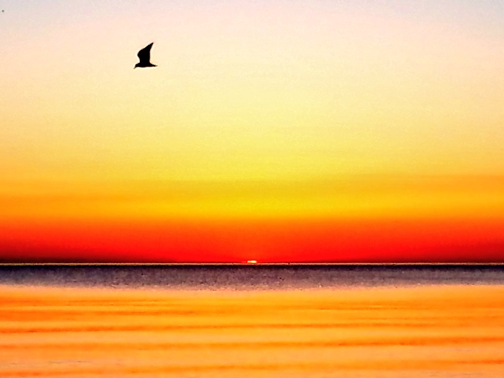 Academy911's tweet photo. @spann Here's your #SunriseSurprise🌞 #FridayFlyOver #WeekEndWakeUpCall over the #GreatLakes on #LakeMichigan in #Chicago #Illinois #USA🇺🇸 🕊 https://t.co/NVo2RgRY5N