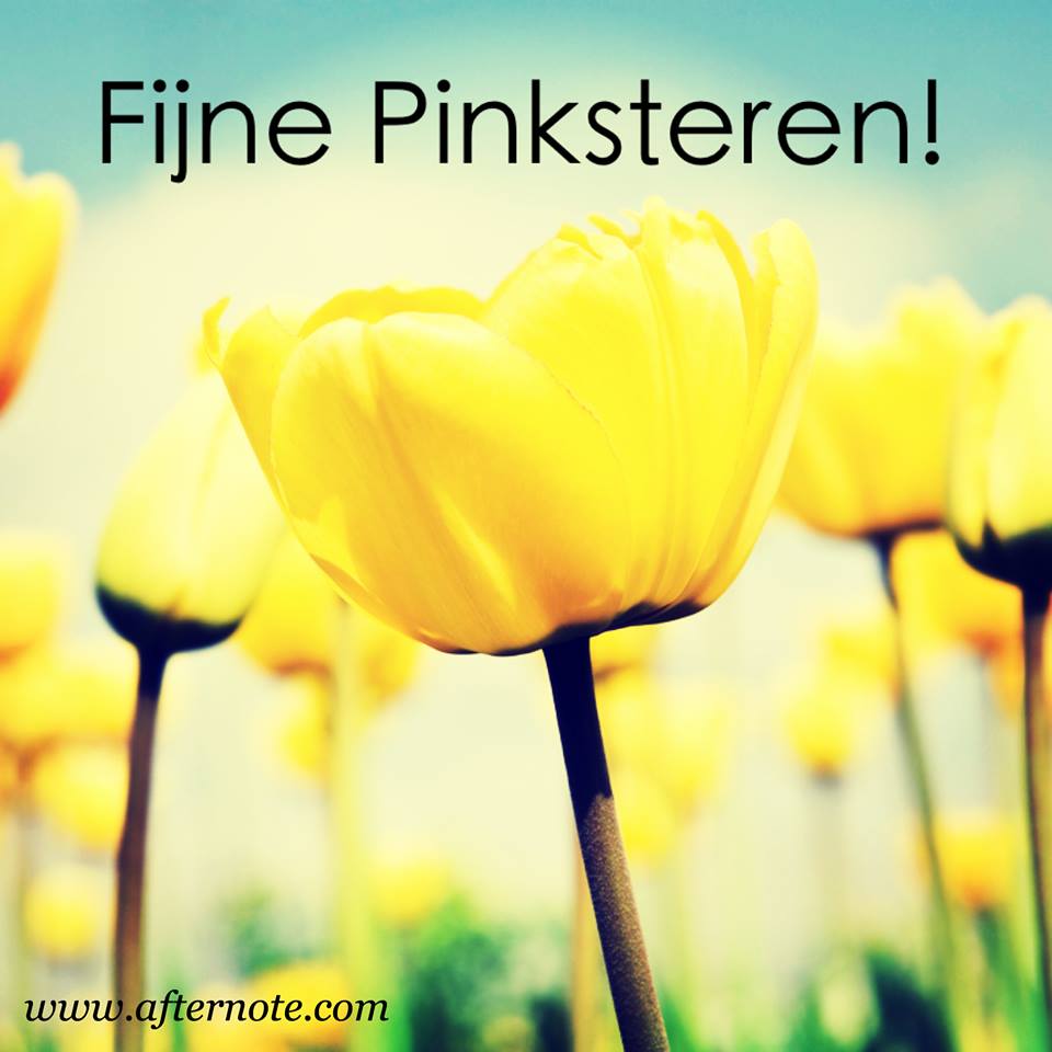 AfternoteNL's tweet photo. Geniet van dit extra lange weekend! https://t.co/yq80apgn6c