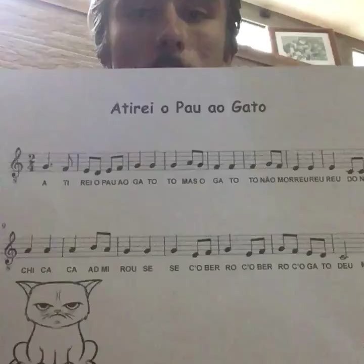 getxylo's tweet photo. @joaquim_ribeiro20 laying down "Atitei o Pau ao Gato" on #guitar #ukelele #bass Want to be featured? Download #xyl… https://t.co/3RRXyZlaWr https://t.co/DtQIGFpTdC