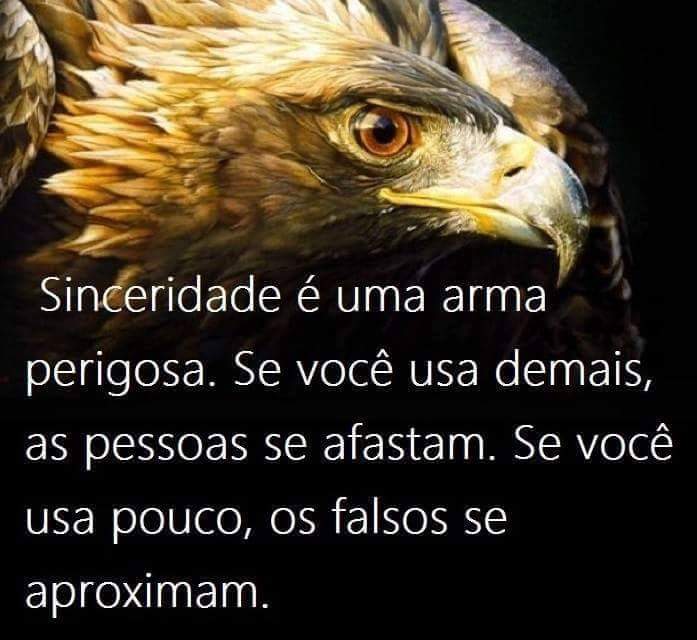 #BetaMigos_Oficial 
#BetaAjudaBeta