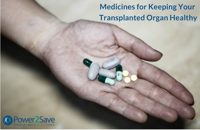 download reinforcement learning an introduction 1998