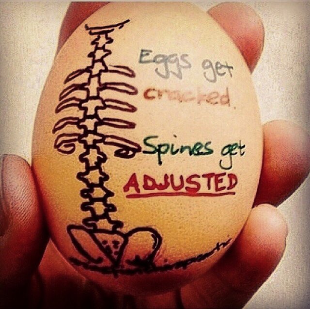 andrewyoder1977's tweet photo. Eggs get cracked &amp; the Spine get adjusted.. https://t.co/KTlA2x7Ztl https://t.co/D7mF8LAKN9