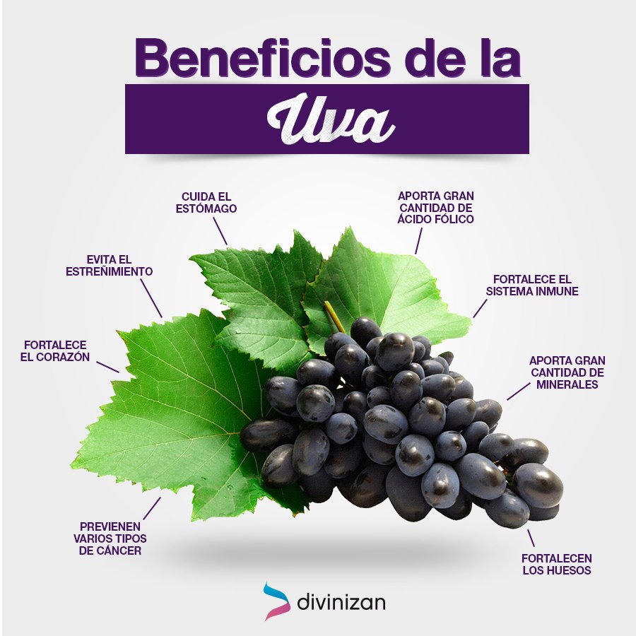 divinizan's tweet photo. Además cada 100g nos aporta 34 calorías. También es baja en grasas, pero muy rica en nutrientes como vitaminas y minerales. #DivinizanTips https://t.co/b5g7Rsh8dO
