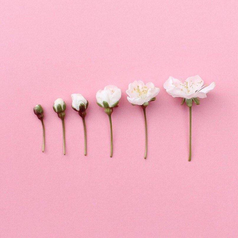 minimalismar's tweet photo. https://t.co/8XJaZ7t0KB