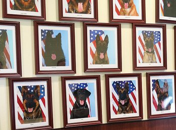 winn_ach's tweet photo. Tomorrow is June 3rd and the anniversary for U.S. Army Veterinary Corps! We appreciate your hard work keeping the DoD’s mission strong! https://t.co/vJNlBXrJJW