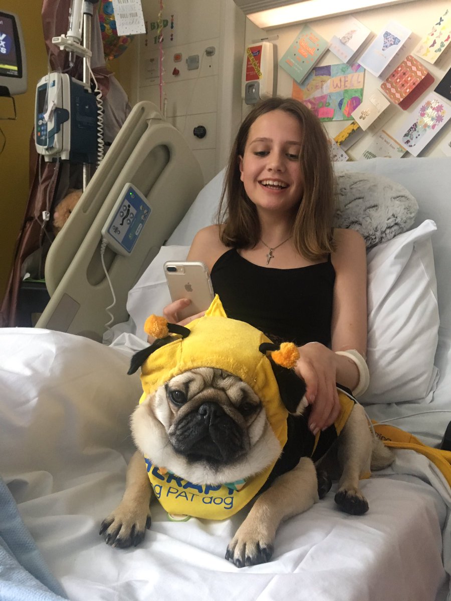 Message_Evie's tweet photo. @ollyofficial @grimmers @NiallOfficial Could you help get messages to Evie please? Still in hospital after #manchesterattack #messageevie https://t.co/y0XjHSn0hA