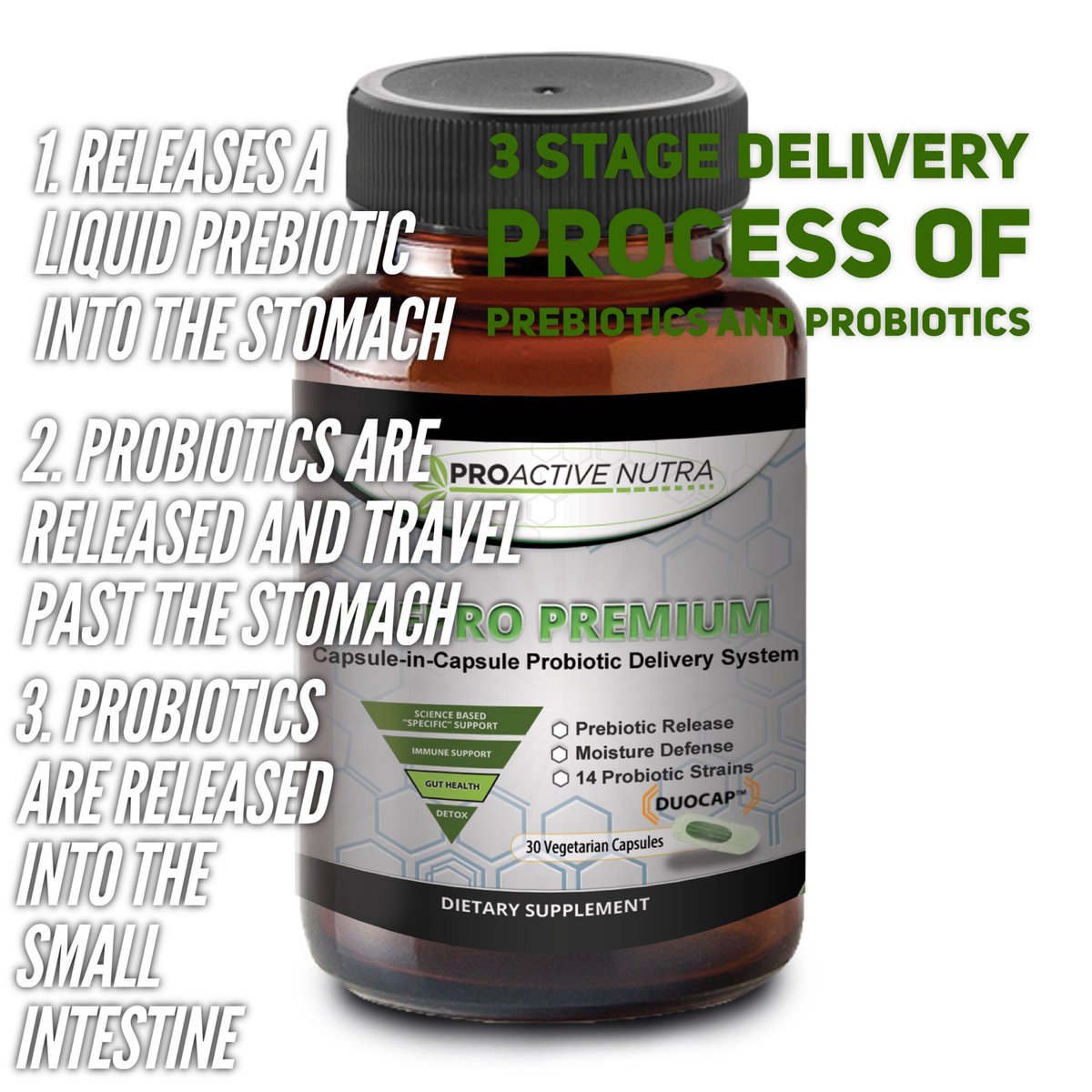ProactiveNutra's tweet photo. Get probiotics and prebiotics in a 3 stage delivery process. Shop: https://t.co/Xs1NhPJdXW #ProactiveNutra #probiotic #prebiotic #health https://t.co/TAdZyHTEL3