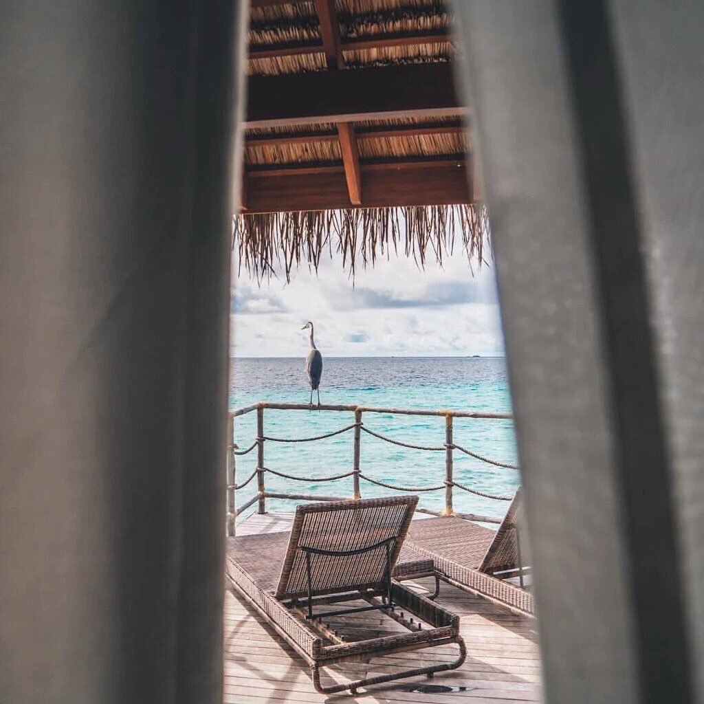 ButDansLaVie's tweet photo. J'ai besoin de vacances dans un endroit aussi paradisiaque 😎🌍🌊🌴 https://t.co/c9xHnU8IbS