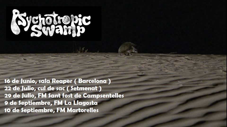 Psychotropic Swamp tweet media