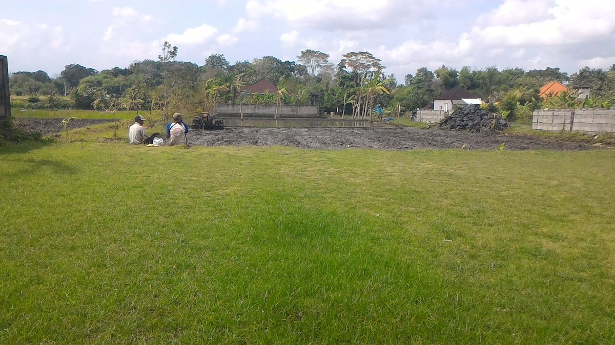 I Nyoman Suasa tweet media