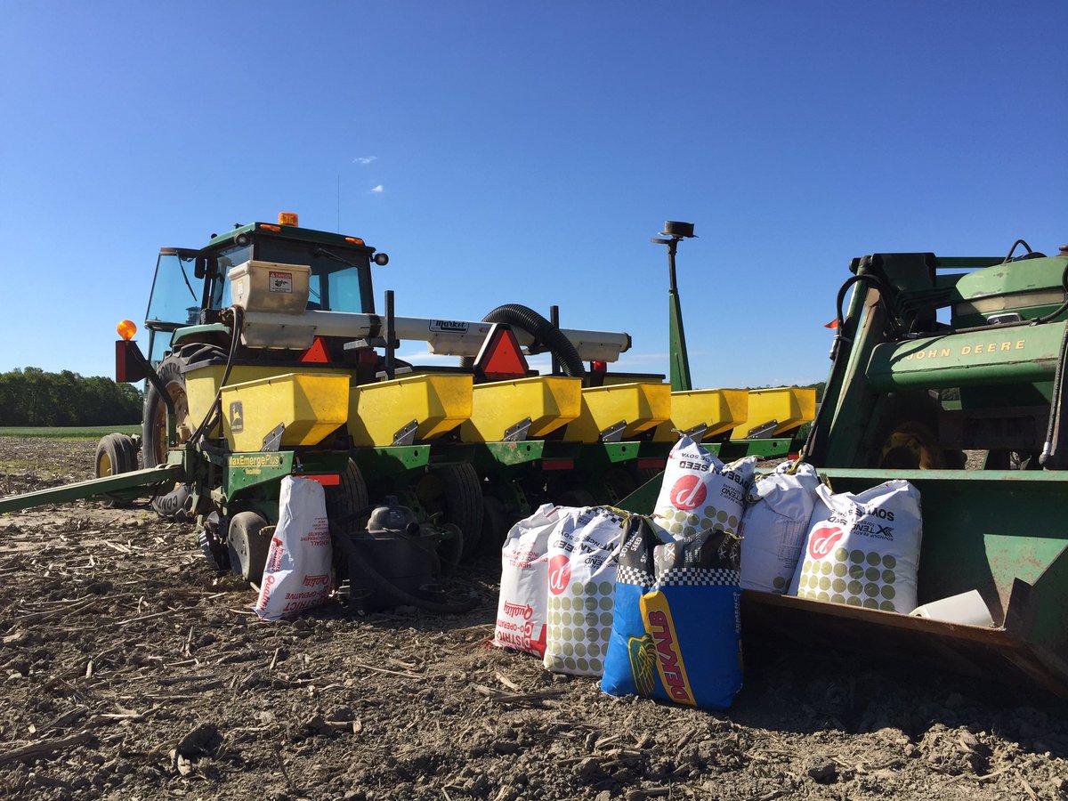 Bakkeracres's tweet photo. Rdup vs IP, Trust Helena Foliar, narrow vrs. Wide, #helena #superplot #PRIDESeeds https://t.co/0N6w6jdUyh
